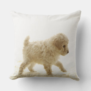 Poodle Puppy Throw Pillow