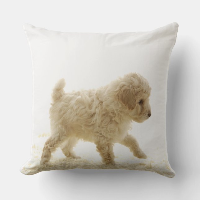Poodle Puppy Throw Pillow (Front)