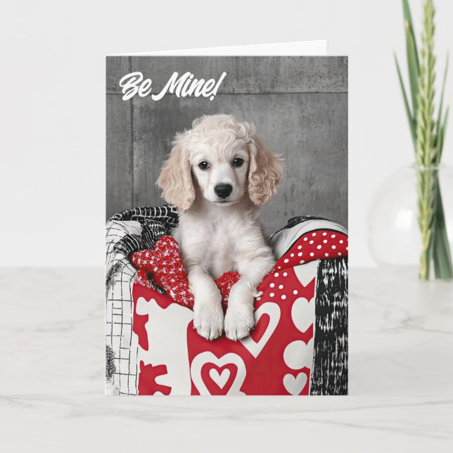 Poodle Puppy Valentine Card (Front)