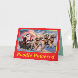 Poodle Reindeer Card