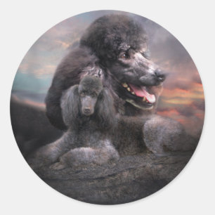 Poodle Rock Sticker