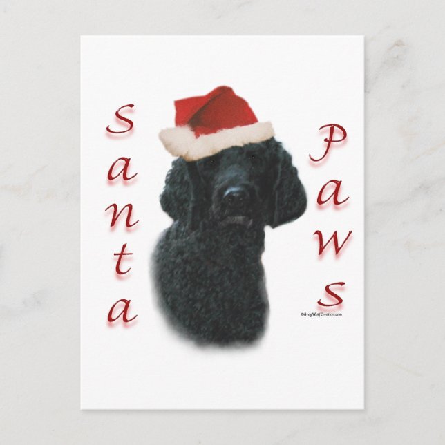 Poodle Santa Paws Holiday Postcard (Front)
