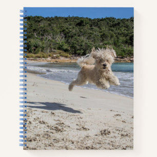Poodle Spiral Notebook