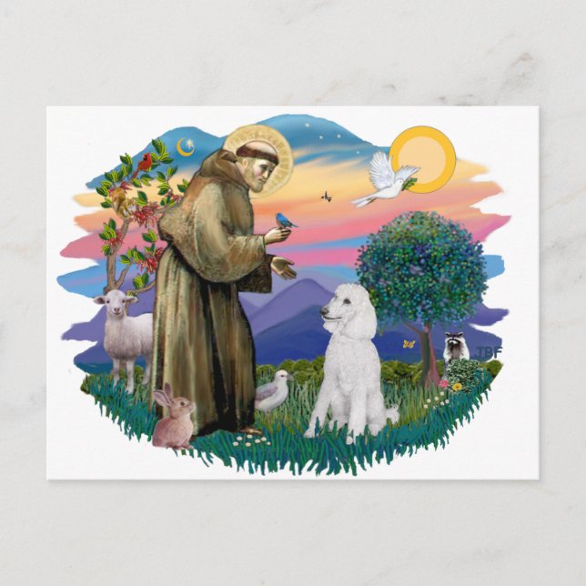 Poodle (Standard White) Postcard (Front)