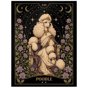Poodle, Starlit Tarot Art Postcard