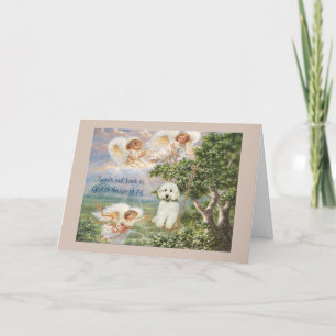 Poodle Sympathy Card