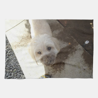Poodle-Terrier mix with dirty face Kitchen Towel