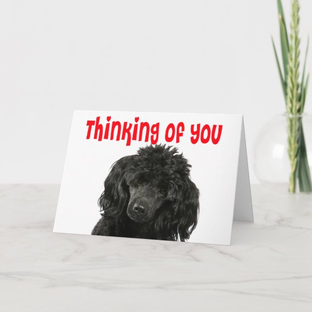 Poodle Thinking of You Hello Miss You Puppy Dog Card (Front)