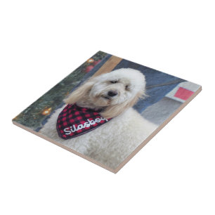 Poodle Tile