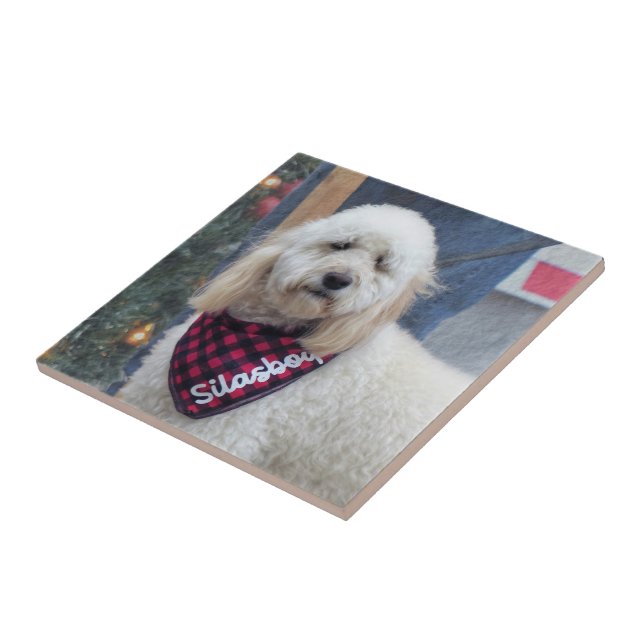 Poodle Tile (Side)