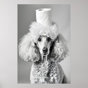 Poodle Toilet Paper Hat Bathroom Print, Funny Dog Poster