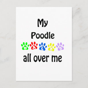 Poodle Walks Design Postcard