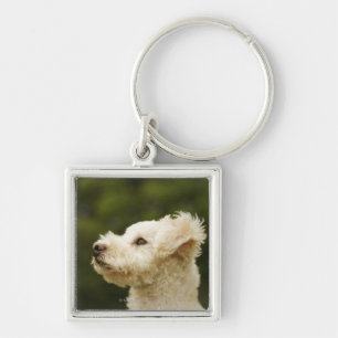 Poodle (white) 2 keychain