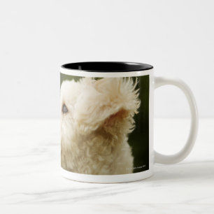 Poodle (white) 2 Two-Tone coffee mug