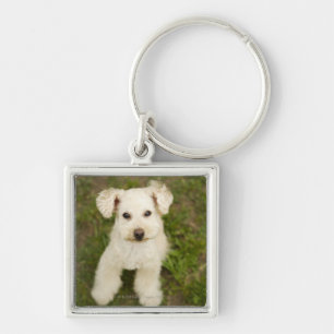 Poodle (white) keychain