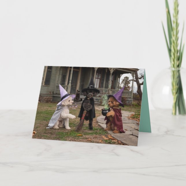 Poodle Witch Halloween Card (Front)