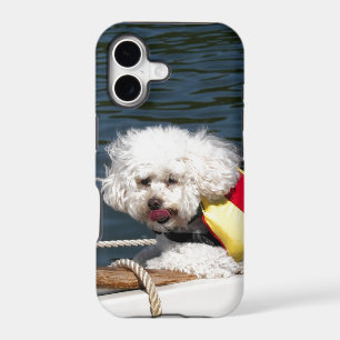 Poodle with life jacket