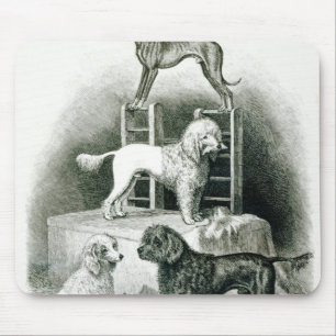 Poodles and Whippet - Group of Mr. Walton's Mouse Pad