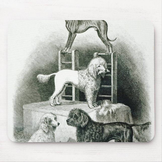 Poodles and Whippet - Group of Mr. Walton's Mouse Pad (Front)