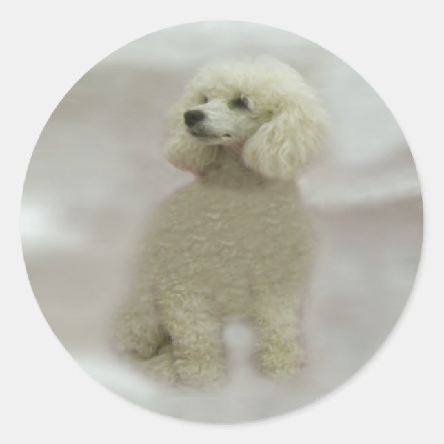 Poodles Are Heavenly Sticker (Front)
