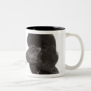 Poodles examining each other Two-Tone coffee mug