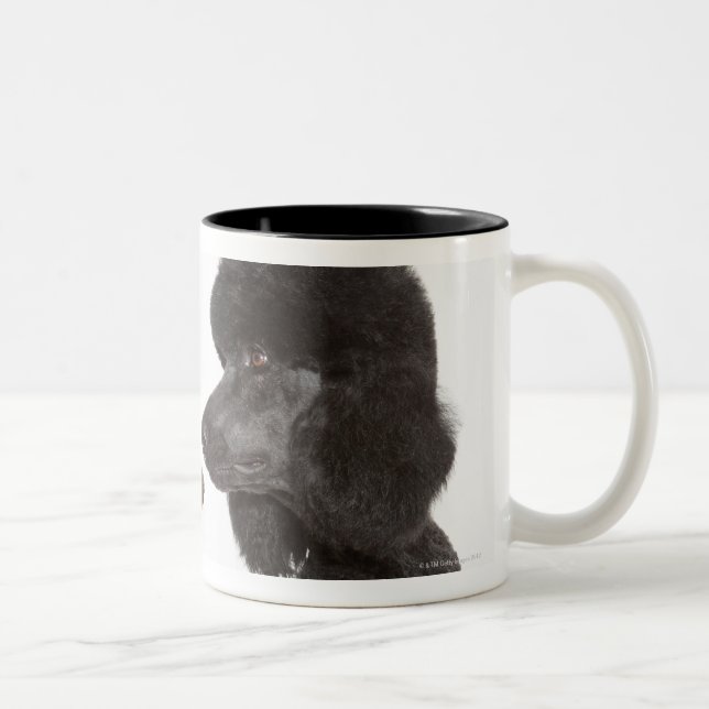 Poodles examining each other Two-Tone coffee mug (Right)