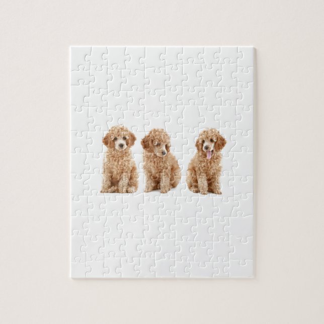 Poodles Jigsaw Puzzle (Vertical)