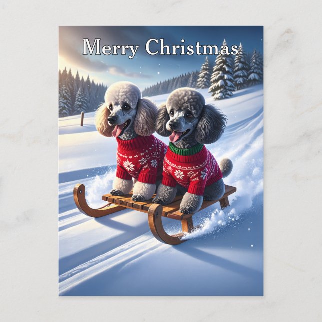 Poodles Sled Ride Christmas Postcard (Front)