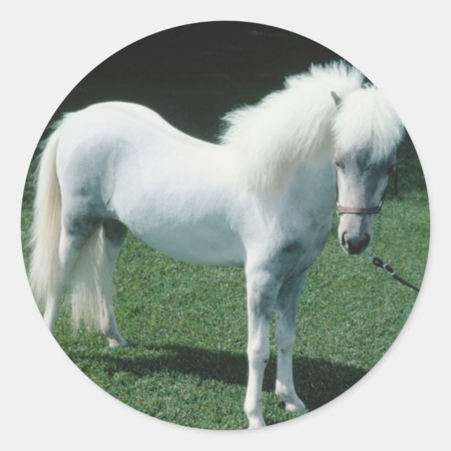 Poofy White Pony Classic Round Sticker (Front)