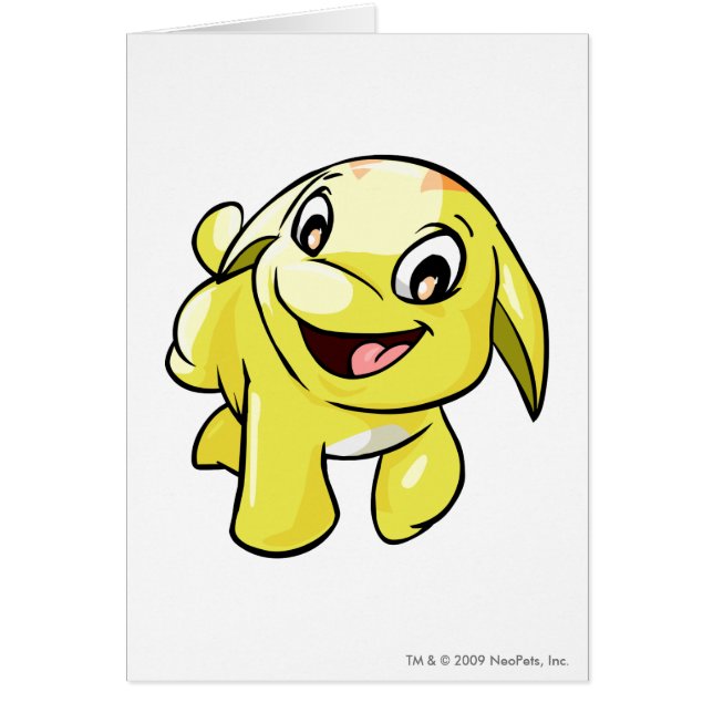 Poogle Yellow (Front)