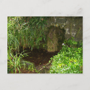 Pool Capturing Waters From St. Brigids Holy Well, Postcard