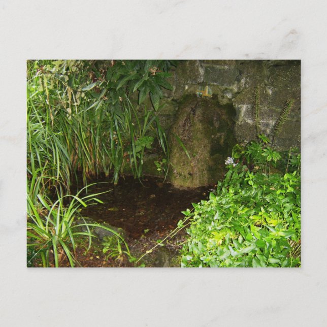 Pool Capturing Waters From St. Brigids Holy Well, Postcard (Front)