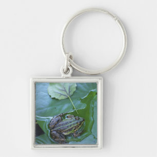 Pool Frog, Amperauen, Germany Keychain
