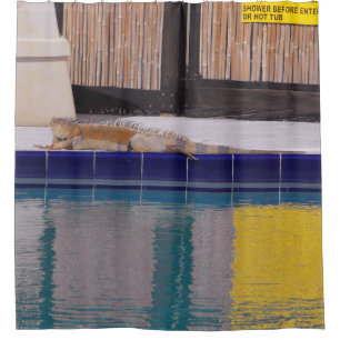 Pool of the Iguana