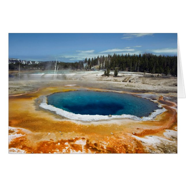 Pool Opal (Devant horizontal)