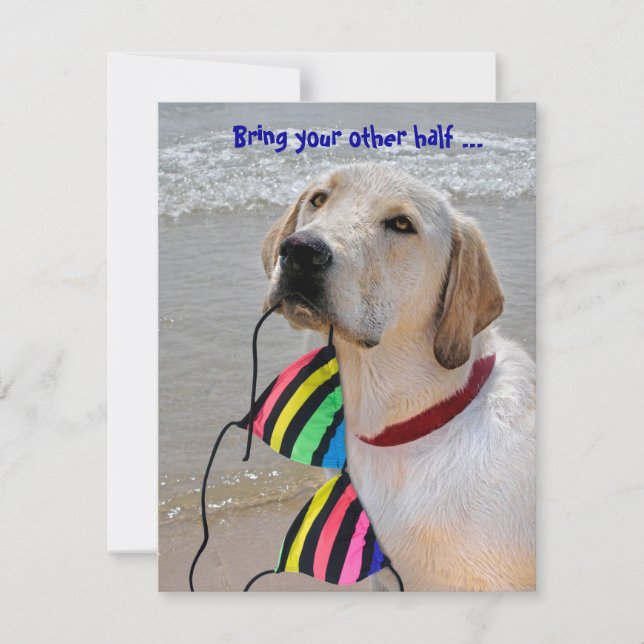 Pool Party Humour Invitation (Front)