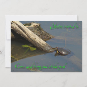 Pool Party Invitation - Basking Turtle