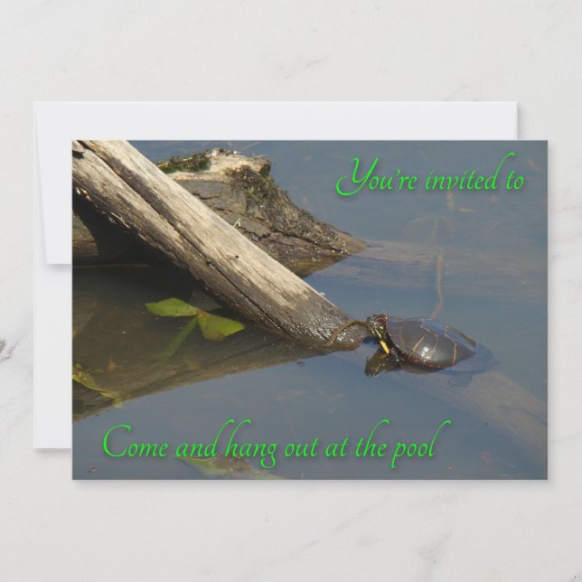 Pool Party Invitation - Basking Turtle (Front)