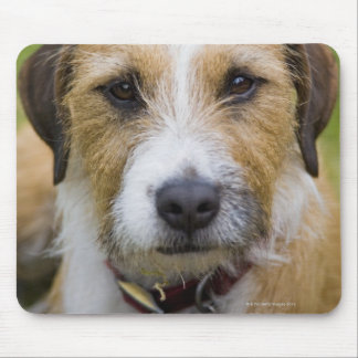 pooley bridge cumbria england 2 mouse pad