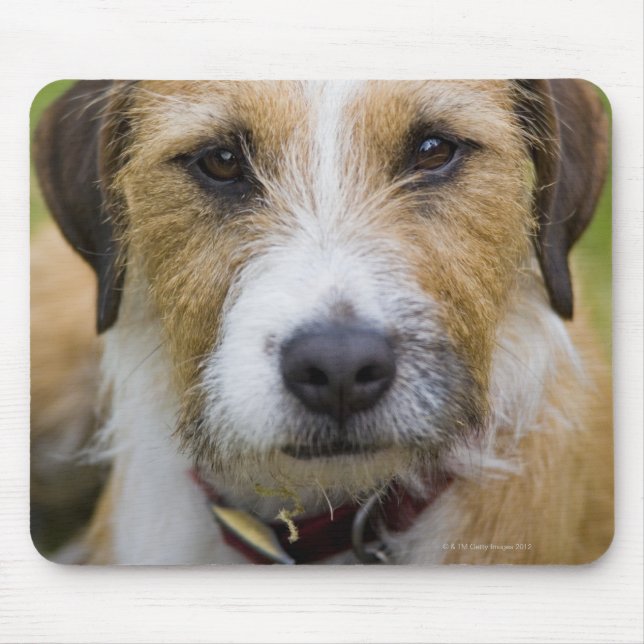 pooley bridge cumbria england 2 mouse pad (Front)