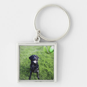 pooley bridge cumbria england keychain