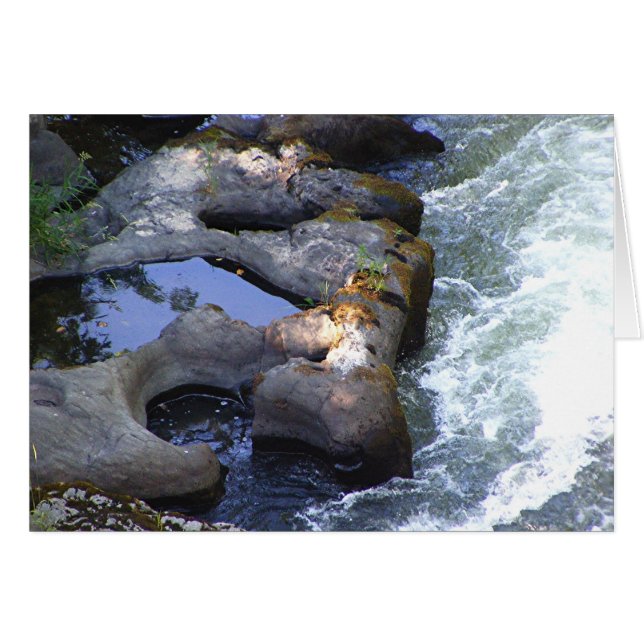 Pools fluviaux (Devant Horizontal)