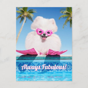 Poolside Dog In Flippers Invitation Postcard