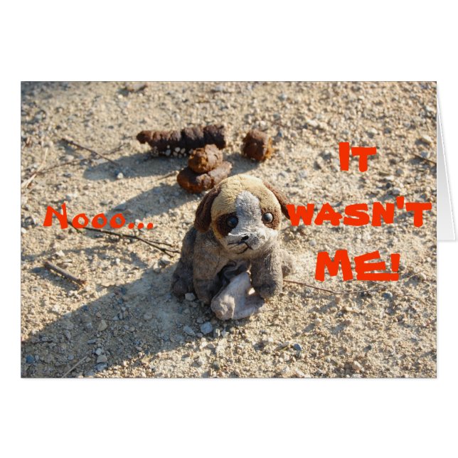 Poop (Front Horizontal)