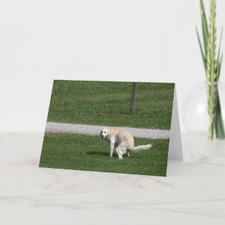 Poop happens card