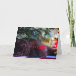 POOPED? CHRISTMAS CARD FOR ANYONE