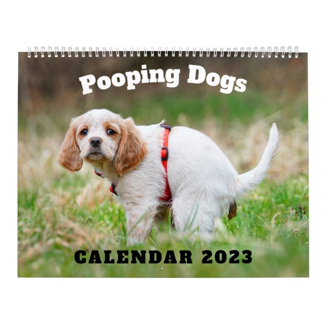 Pooping Dogs Calendar 2023, Funny Dogs (Cover)