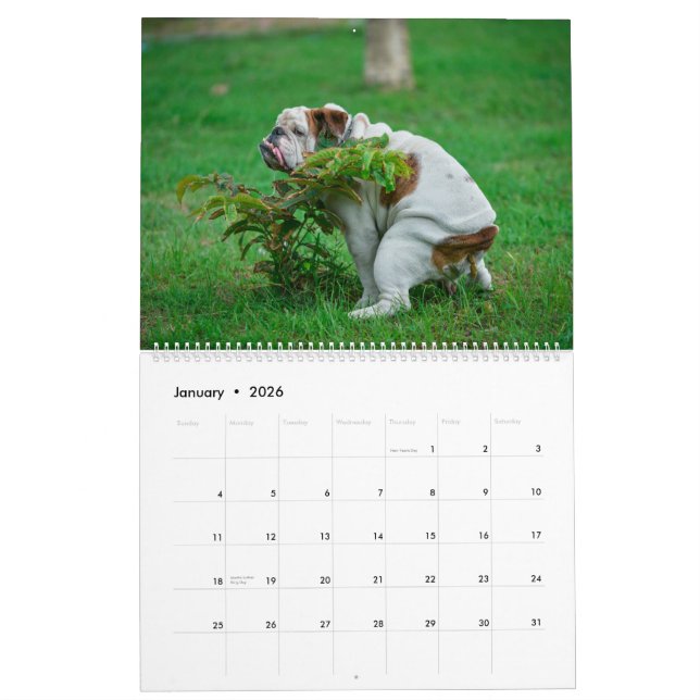 Pooping Dogs Calendar 2023, Funny Dogs  (Jan 2026)