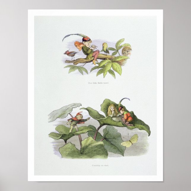 Poor little Birdie teased, and Courtship cut short Poster (Front)