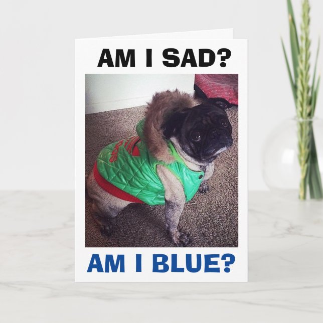POOR PUG SAD/BLUE WITHOUT YOU AT CHRISTMAS HOLIDAY CARD (Front)